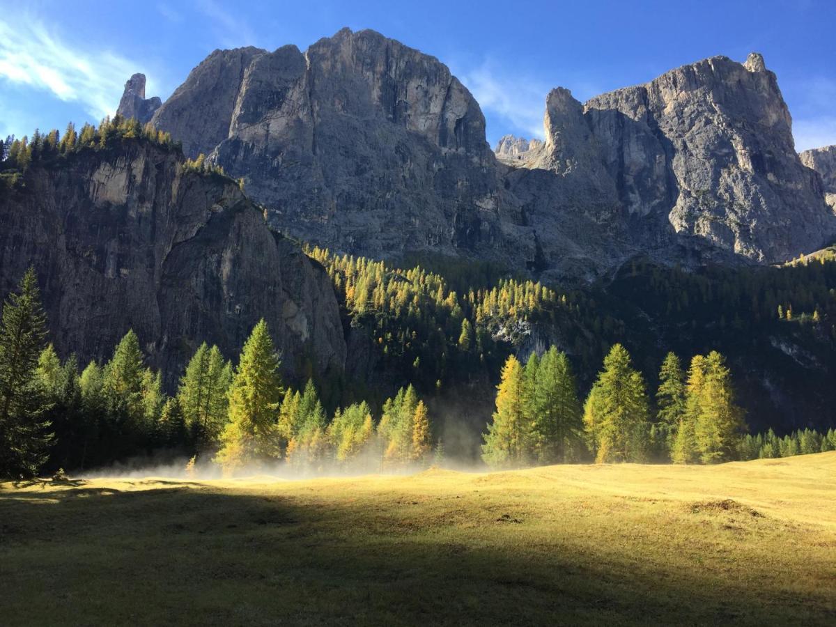 Piz Alpin B&B โคลฟอสโก ภายนอก รูปภาพ