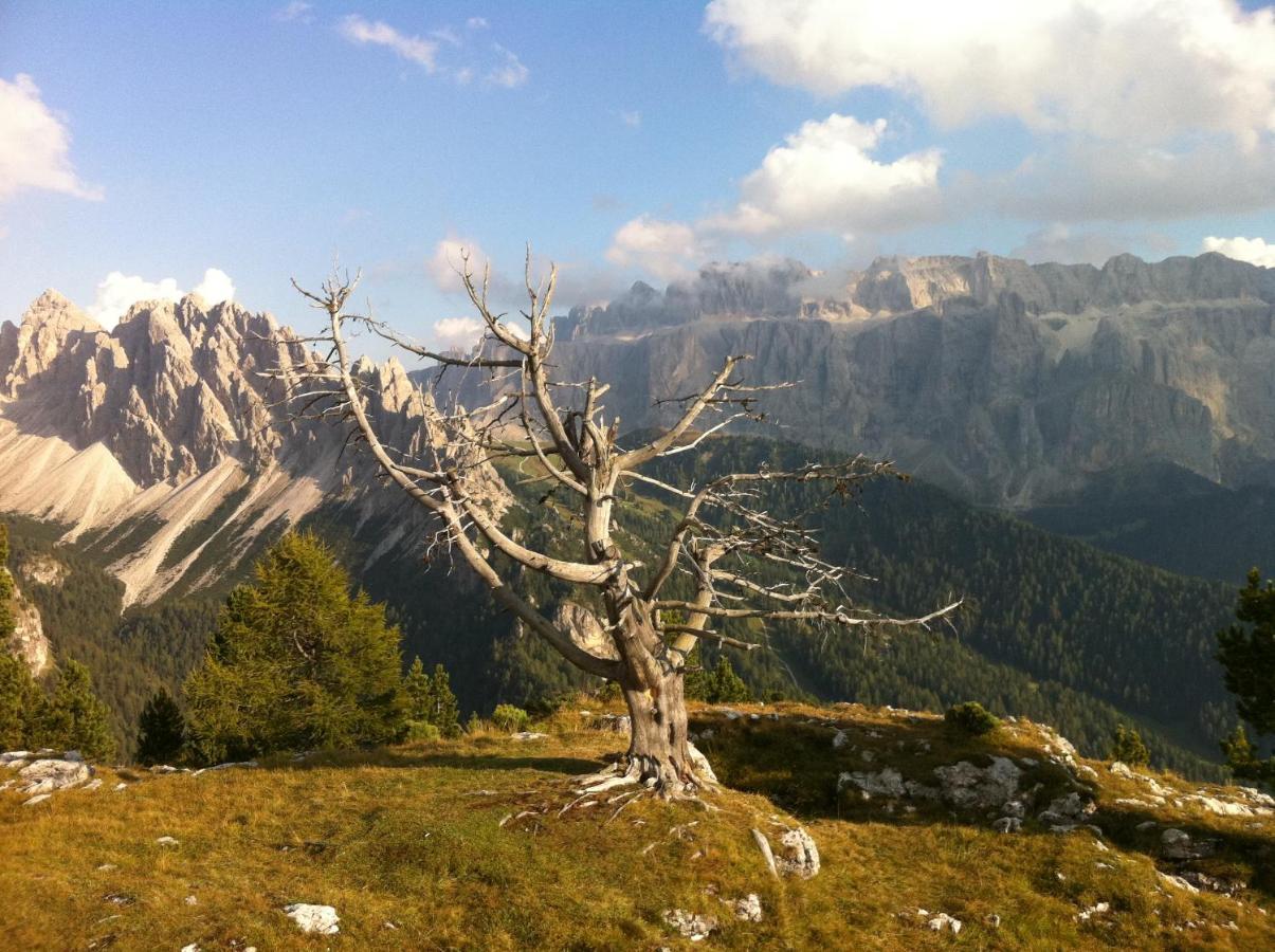 Piz Alpin B&B โคลฟอสโก ภายนอก รูปภาพ